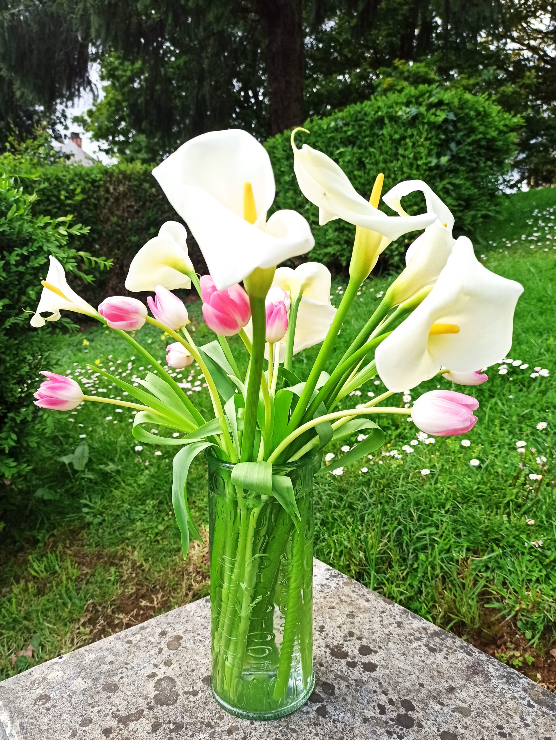 fotospoligualdade_fam_04_calas e tulipans